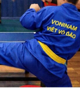 Lire la suite à propos de l’article Présentation  du Vovinam Viet Vo Dao
